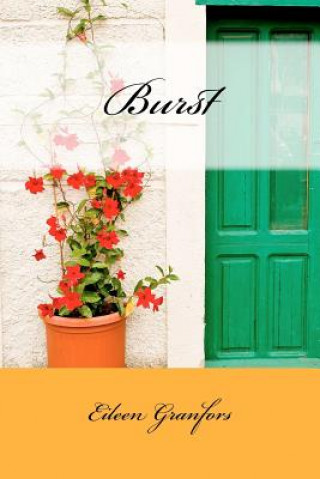 Book Burst Eileen Clemens Granfors