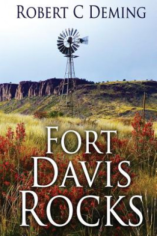 Книга Fort Davis Rocks Robert C Deming