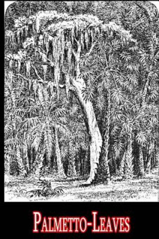 Buch Palmetto-Leaves Harriet Beecher Stowe