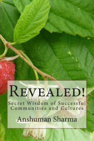 Kniha Revealed!: Secret Wisdom of Successful Communities and Cultures MR Anshuman Sharma