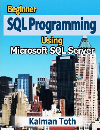 Buch Beginner SQL Programming Using Microsoft SQL Server Kalman Toth