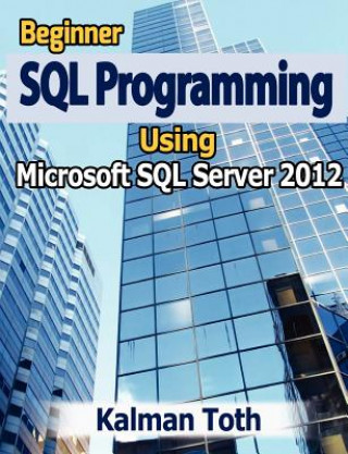 Kniha Beginner SQL Programming Using Microsoft SQL Server 2012 Kalman Toth