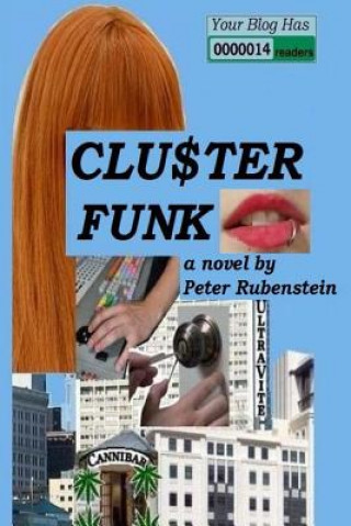 Book Cluster Funk Peter Rubenstein