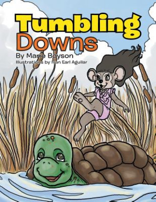 Book Tumbling Downs Marie Boyson