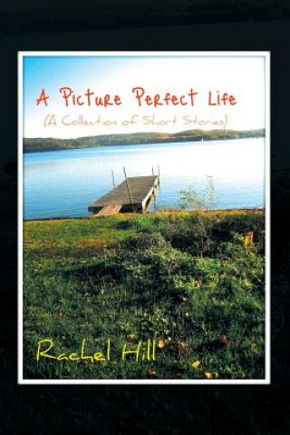 Kniha Picture Perfect Life Rachel Hill