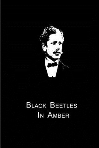 Book Black Beetles In Amber Ambrose Bierce