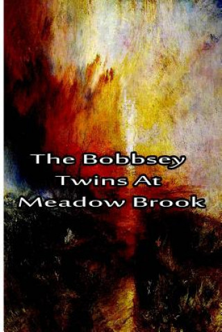 Kniha The Bobbsey Twins At Meadow Brook Laura Lee Hope