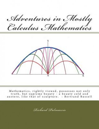 Kniha Adventures in Mostly Calculus Mathematics Richard J Palmaccio