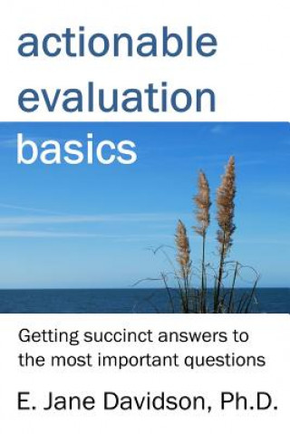 Βιβλίο Actionable Evaluation Basics: Getting succinct answers to the most important questions [minibook] E Jane Davidson