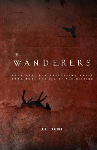 Kniha The Wanderers J E Hunt