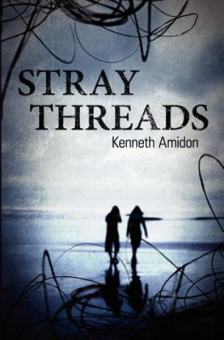 Knjiga Stray Threads Kenneth Amidon