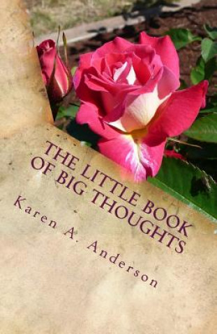 Kniha The Little Book of BIG Thoughts-Vol. 1 Karen A Anderson