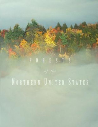 Kniha Forests of the Northern United States Stephen R Shifley