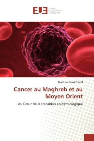 Buch Cancer au Maghreb et au Moyen Orient Mokhtar Hamdi Cherif