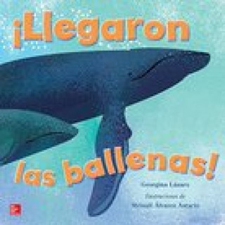 Buch Lectura Maravillas Literature Big Book: Llegaron Las Ballenas! Grade K Mcgraw-Hill Education