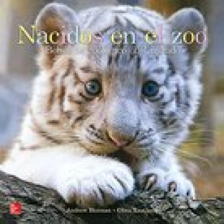 Carte Lectura Maravillas Literature Big Book: Nacidos En El Zoo Grade K Mcgraw-Hill Education