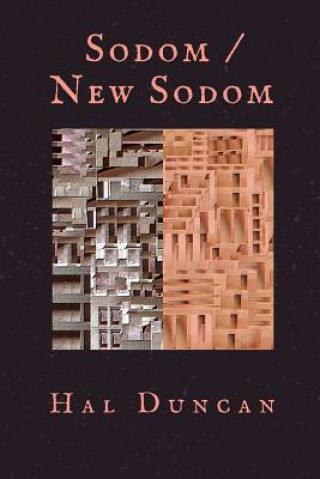 Könyv Sodom / New Sodom Hal Duncan