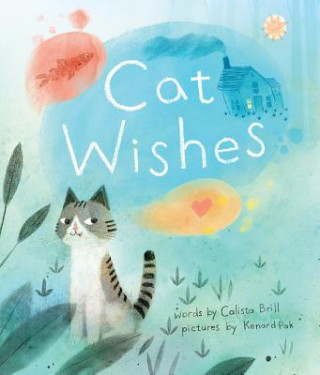 Kniha Cat Wishes Calista Brill