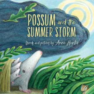 Kniha Possum and the Summer Storm Anne Hunter