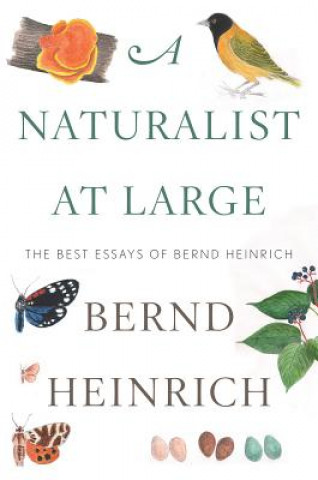 Könyv Naturalist At Large, A Bernd Heinrich