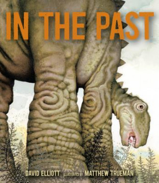 Kniha In the Past: From Trilobites to Dinosaurs to Mammoths in More Than 500 Million Years David Elliott