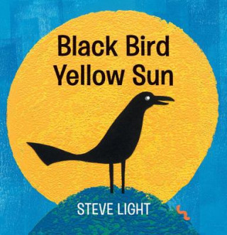 Book Black Bird Yellow Sun Steve Light