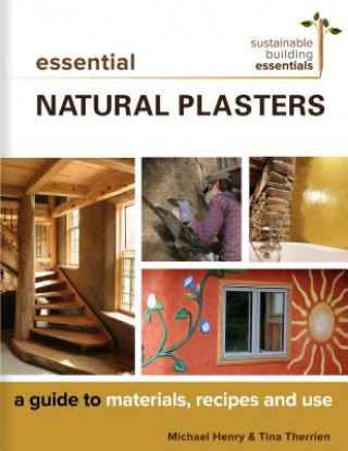 Book Essential Natural Plasters Michael Henry