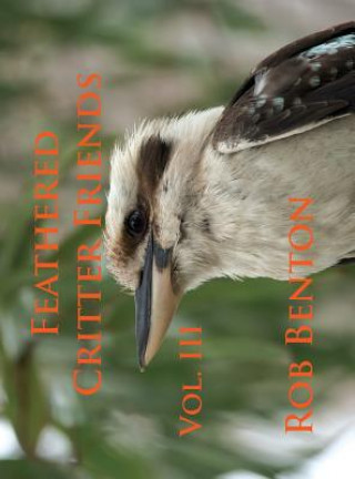 Book Feathered Critter Friends Vol. III Rob Benton