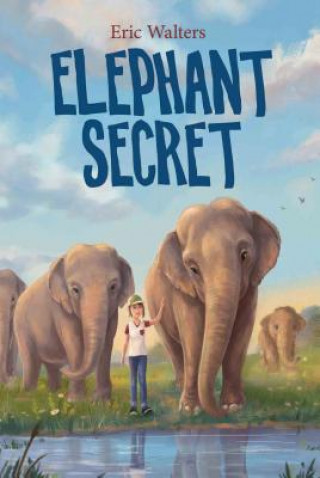 Книга Elephant Secret Eric Walters