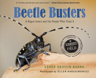 Kniha Beetle Busters: A Rogue Insect and the People Who Track It Loree Griffin Burns