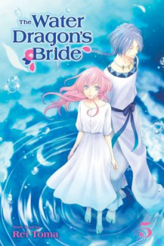 Knjiga Water Dragon's Bride, Vol. 5 Rei Toma