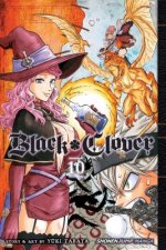 Könyv Black Clover, Vol. 10 Yuki Tabata