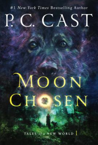 Könyv Moon Chosen P C Cast