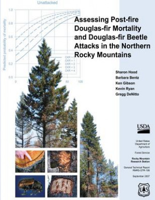 Könyv Assessing Post-Fire Douglas-Fir Mortality and Douglas-Fir Beetle Attacks in the Northern Rocky Mountains Sharon Hood