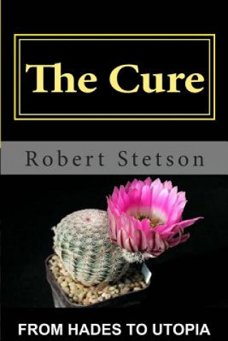 Kniha The Cure Robert Stetson