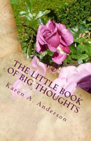 Kniha The Little Book of BIG Thoughts -- Vol. 5 Karen Anderson