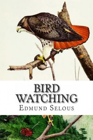 Carte Bird Watching Edmund Selous