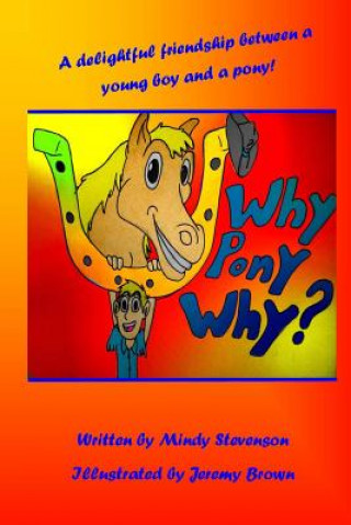 Buch Why Pony Why Mindy Stevenson