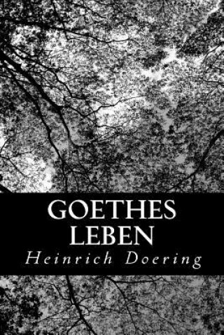 Book Goethes Leben Heinrich Doering