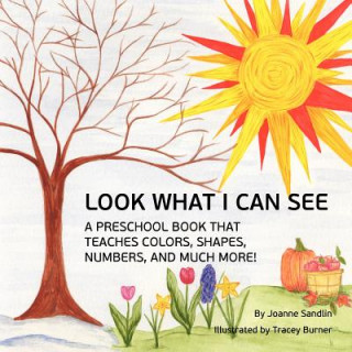 Carte Look What I Can See: A Preschool Book that Teaches Colors, Shapes, Numbers, and Much More! Joanne Sandlin