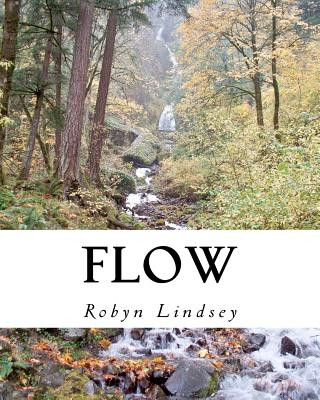 Knjiga Flow Robyn Lindsey