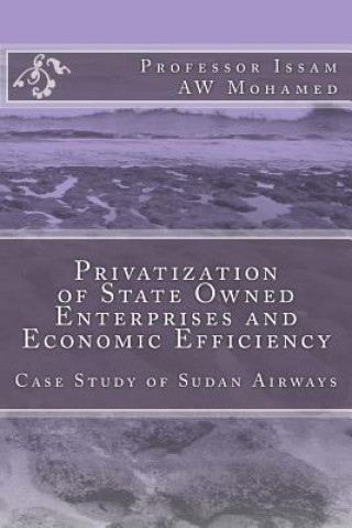 Book Privatization of State Owned Enterprises and Economic Efficiency: Case Study of Sudan Airways Prof Issam Aw Mohamed