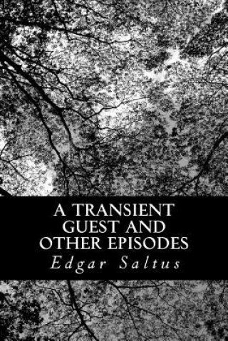 Książka A Transient Guest and Other Episodes Edgar Saltus