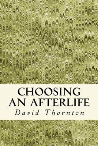 Kniha Choosing an Afterlife: Poetry 2008-2012 David Thornton