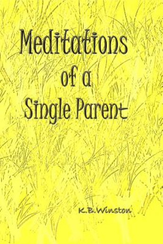 Kniha Meditations of a Single Parent K B Winston