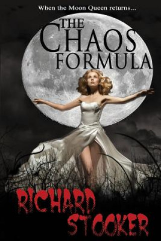 Kniha The Chaos Formula: A Dark, Contemporary Fantasy Richard Stooker