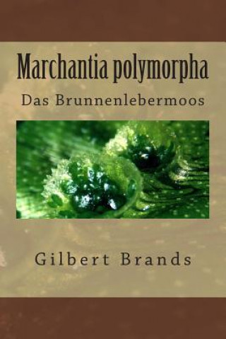 Kniha Marchantia polymorpha: Das Brunnenlebermoos Gilbert Brands