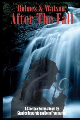 Kniha Holmes & Watson: After the Fall Stephen Imperato