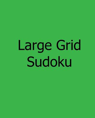 Knjiga Large Grid Sudoku: Fun, Large Print Sudoku Puzzles Brian Weiss