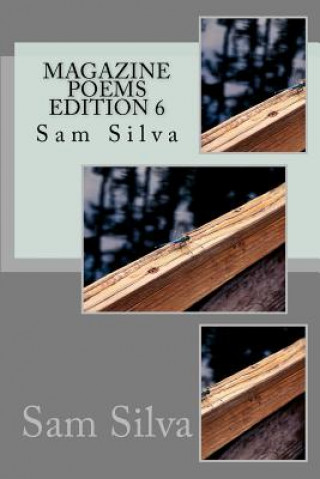 Kniha magazine poems edition 6 Sam Silva